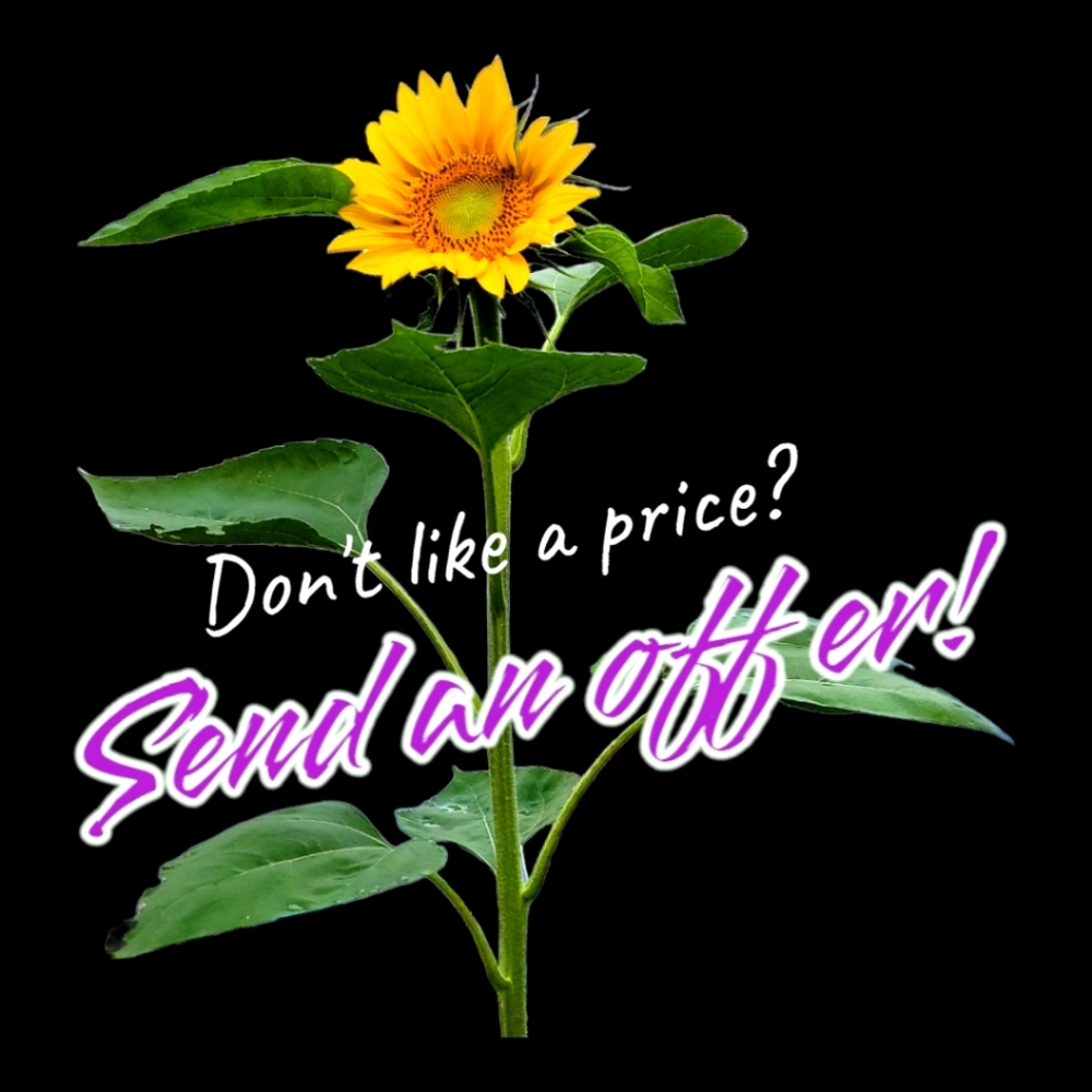 Send me an offer